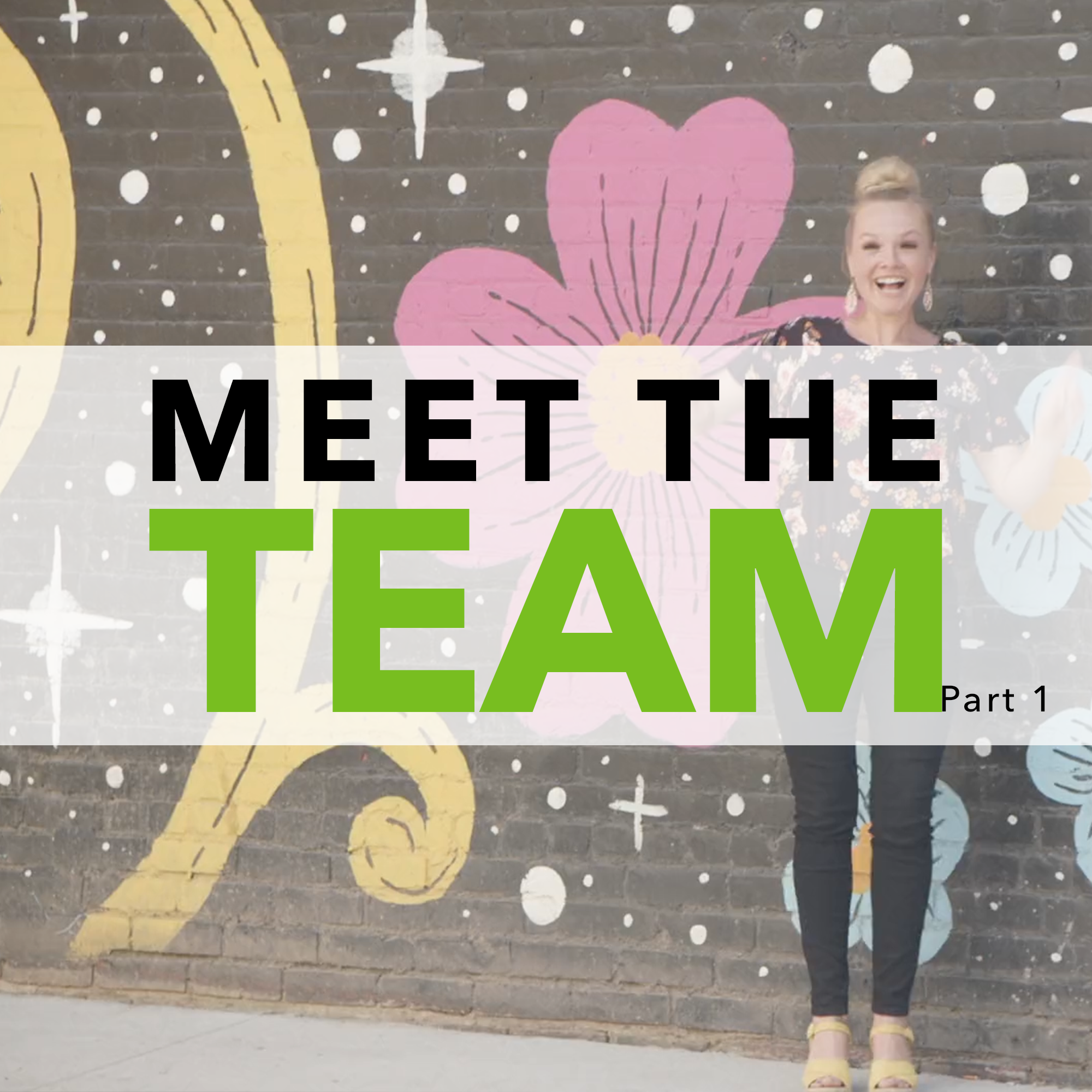 Getting to Know the Team